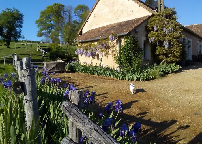 Bois Gaillard 3* 라플레슈